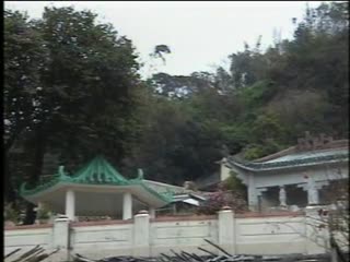 还枝格格02